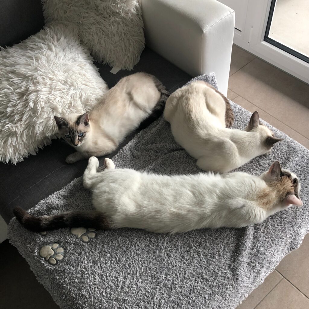 99E013F2 7CD9 4743 AD2F CFA34811A0FB