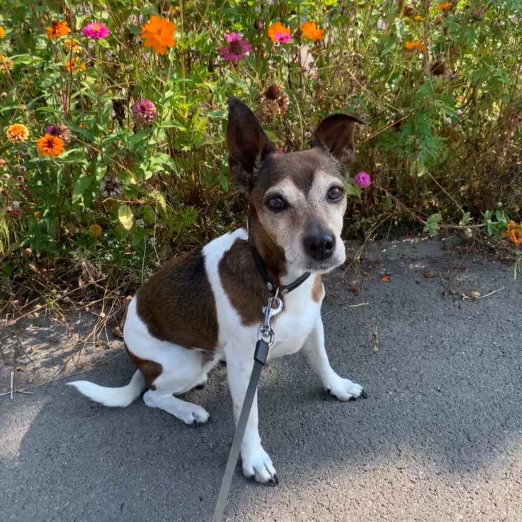 9C9476C3 62B3 4F26 85E3 FD8EC1EFE5BF