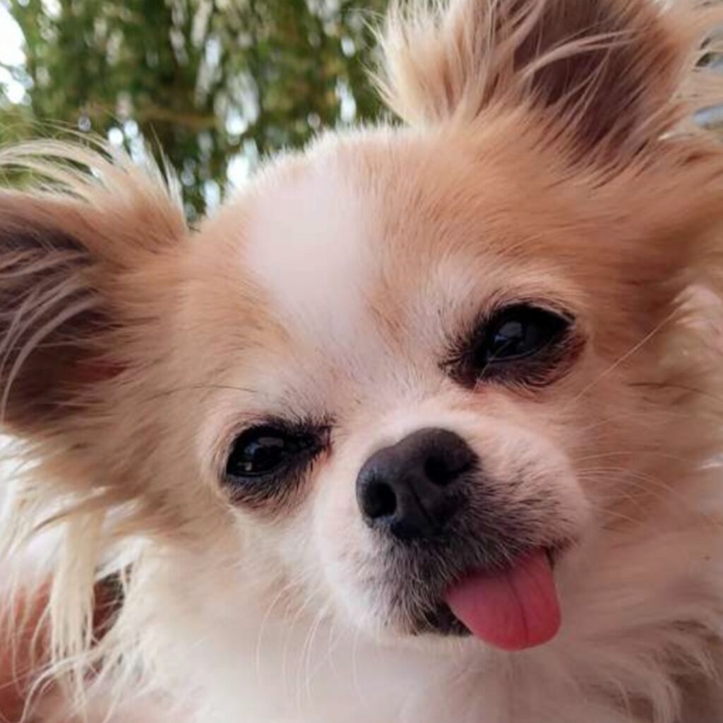 9E627E07 1CC9 4668 9DA9 01C306BA4B2D