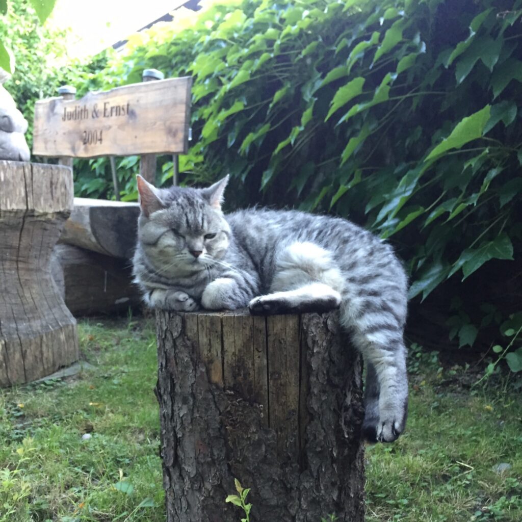 A35C041A F86F 48F8 8277 50C7C83F6381