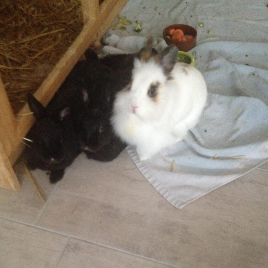 A6A25799 84F6 4FAC AA61 7BFDE72637C6