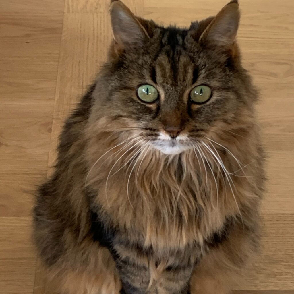 AB8E9BBB C6C2 47AC ACC4 05B8588B0183