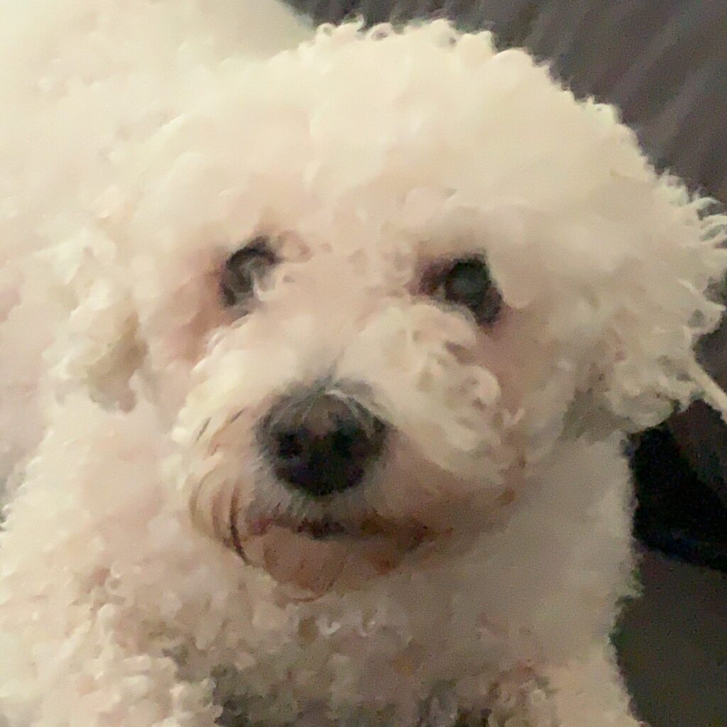 AC9B5A96 13FA 4341 94A2 C45B673FEBF1