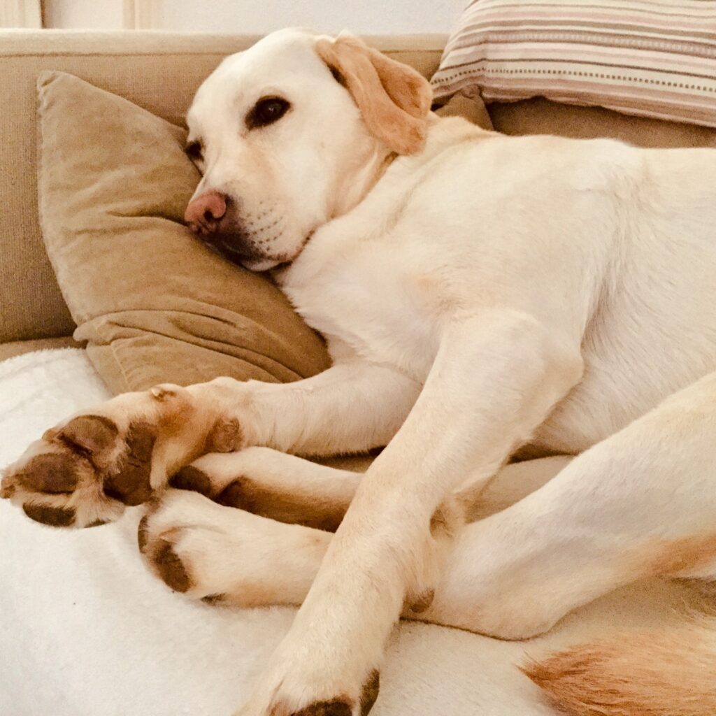 B04883E7 F18B 4B65 8EC2 45ECAD149EDD