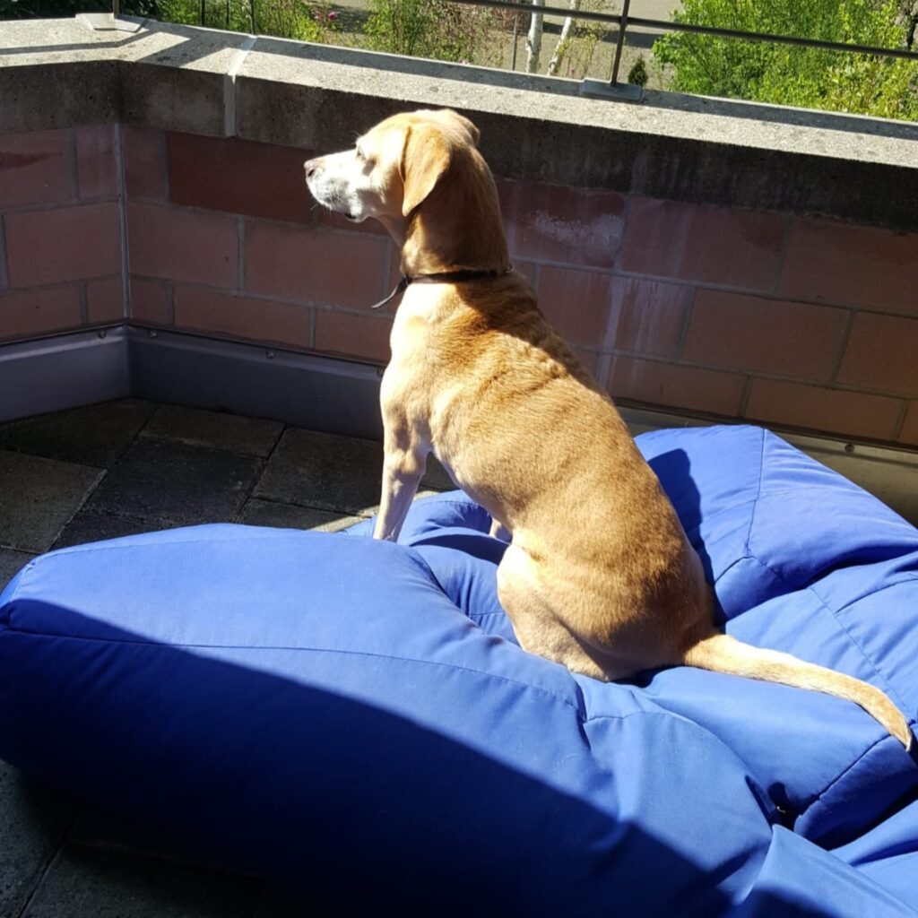 B39504F1 8B44 401C 8B2E 6B69AB795905