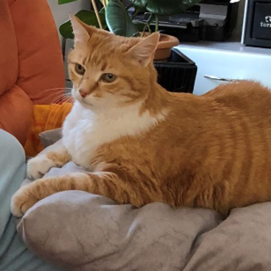 B534502E 87E7 4887 885E F9E35B0C00A1