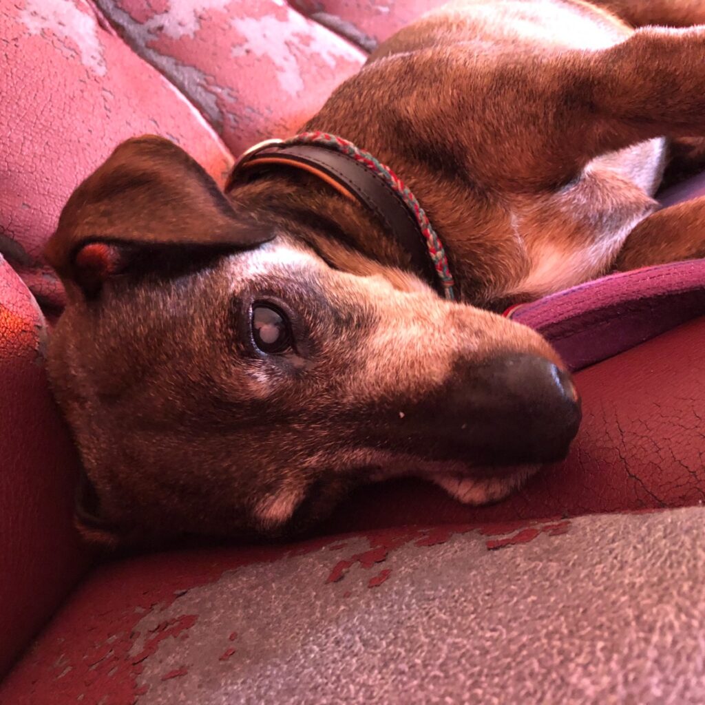 BA215B47 1C1B 4E99 9D4C 779F36BEF015