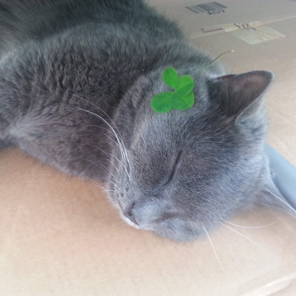 BCEBC072 AB87 4410 8C60 529819084222