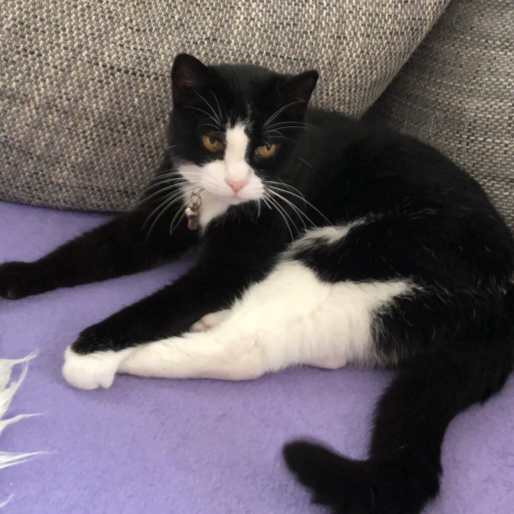 BD880AF2 75B7 4079 A28B 0B3186F8720F