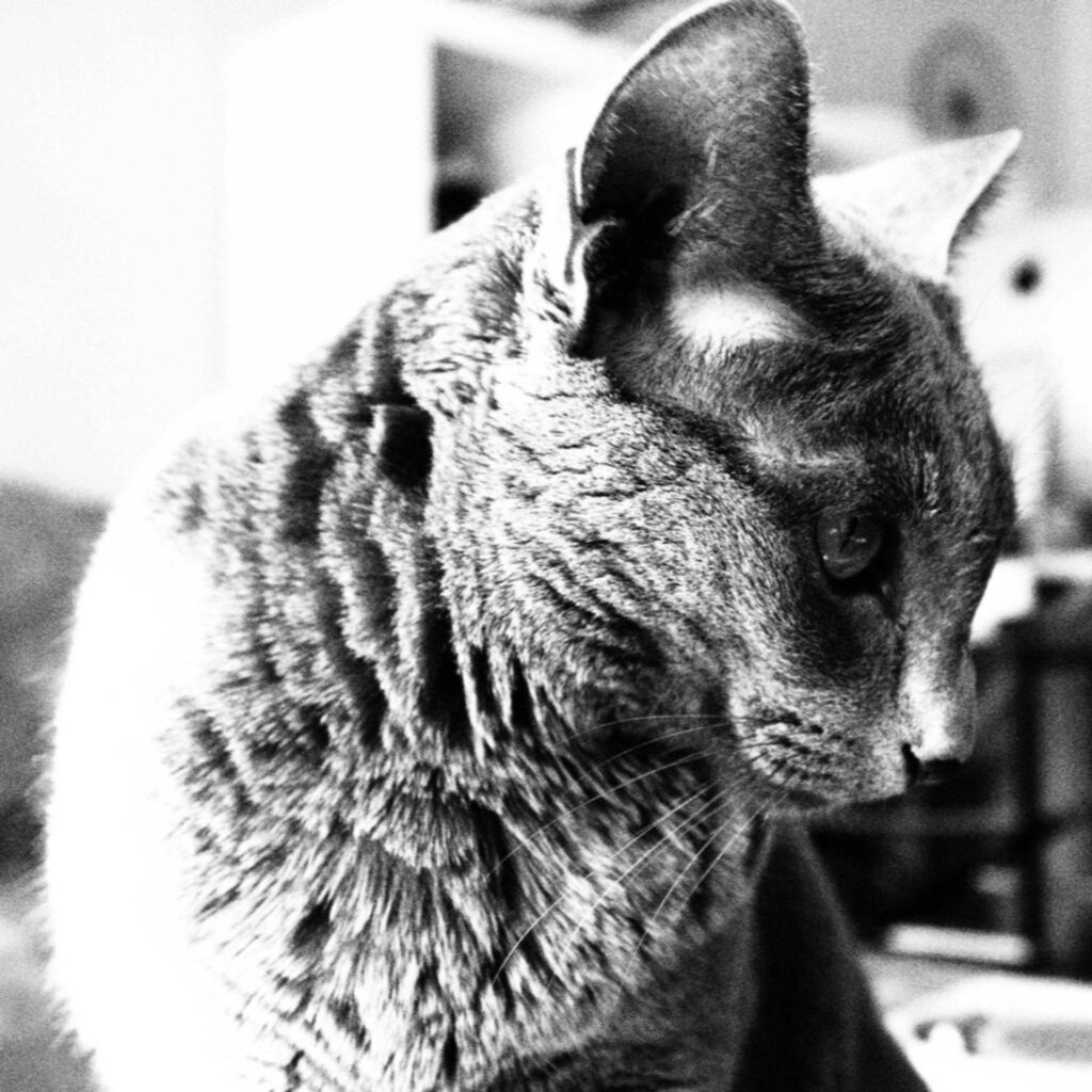 BEF77816 617F 4EB2 9E44 D2F50AB7328F