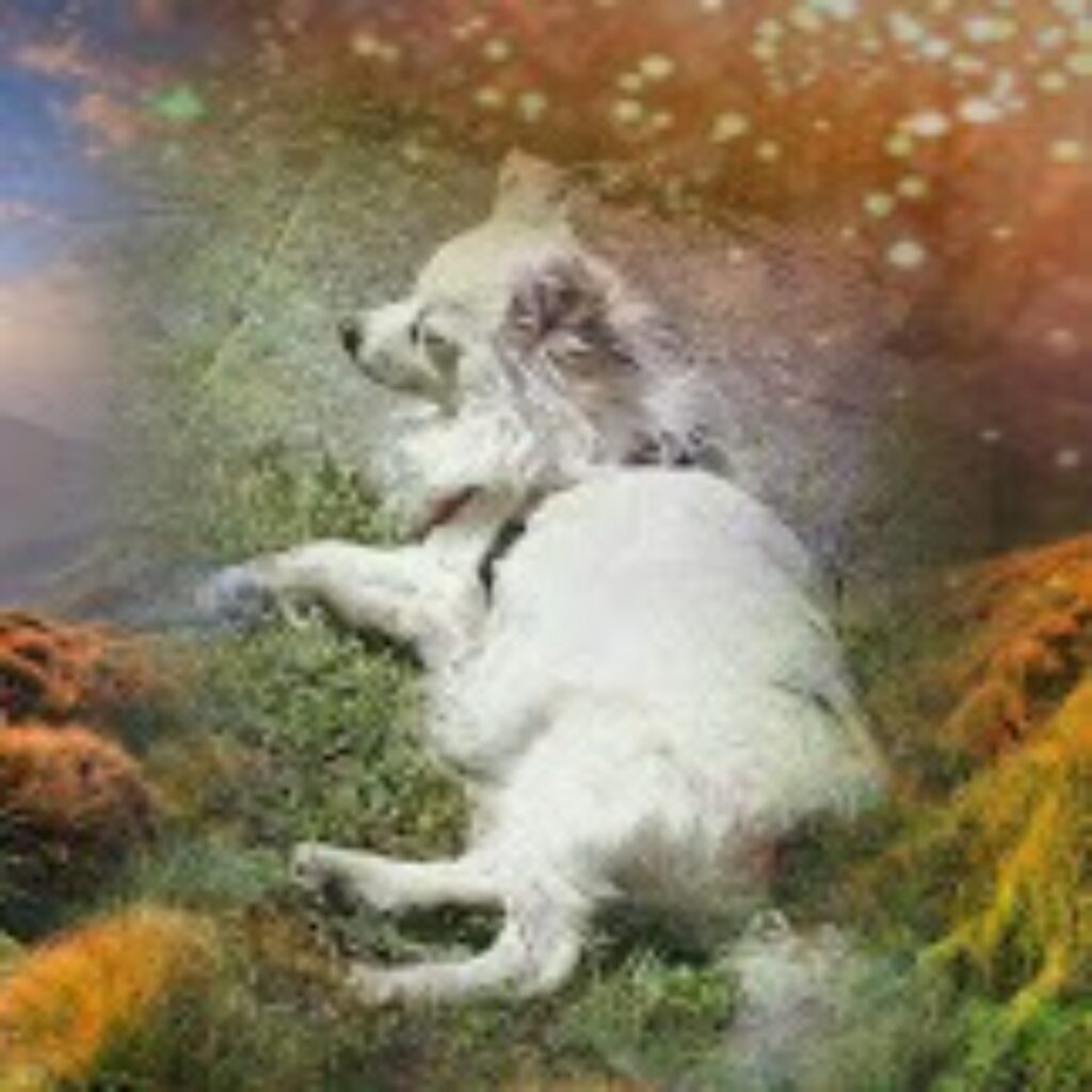 BlendMePhoto1546196835322