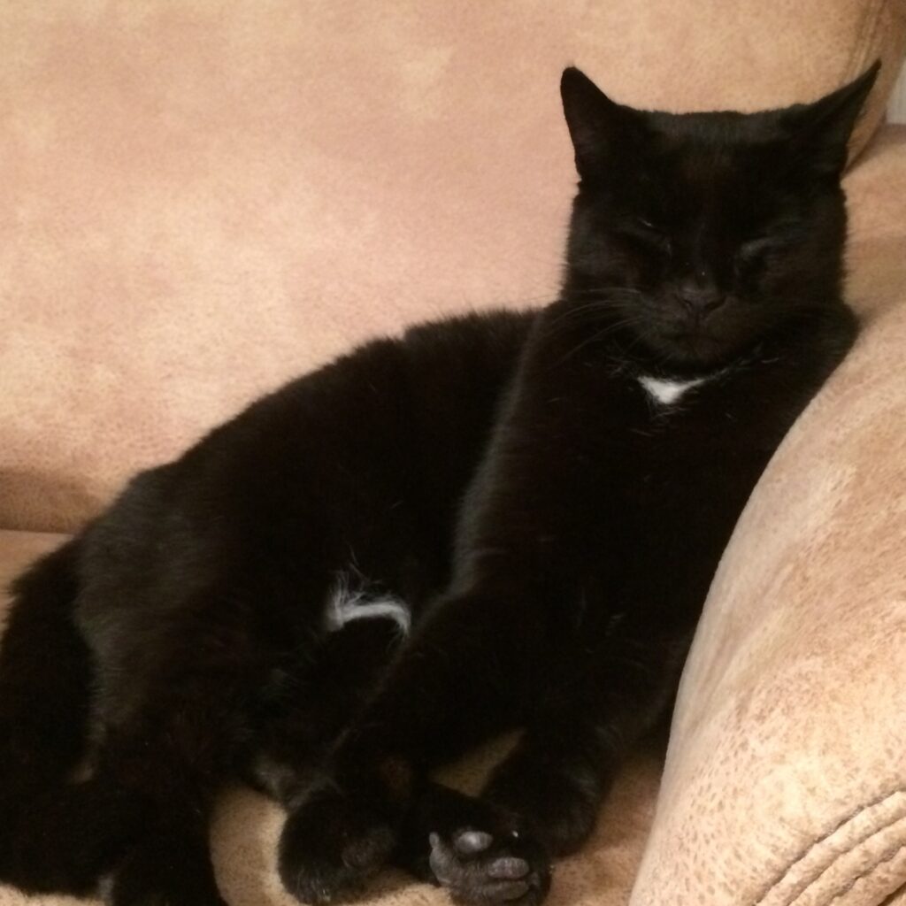 C6EC91C9 10CD 4DAA 83EF 6280E7052EC0