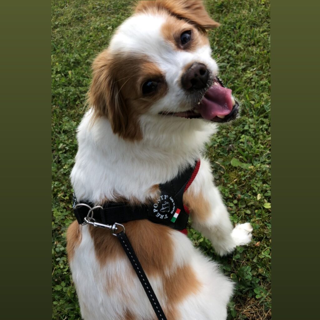 CC677577 9328 4DBE 8149 920DB77DB1D7