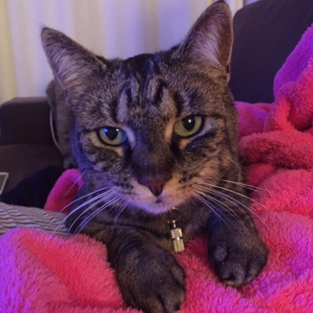 CDEB926E 231F 42BD BCD3 AAF5F2FB2EE0