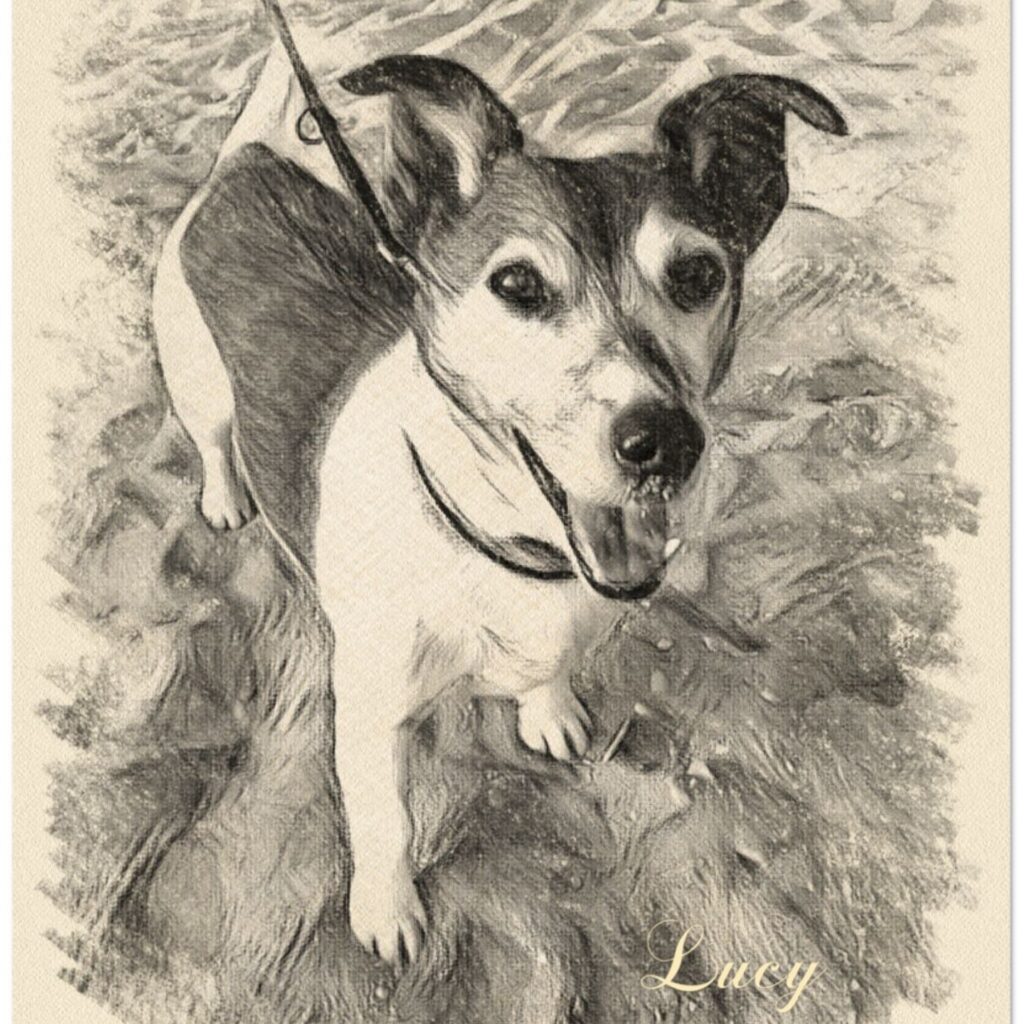 CF441AD1 69BF 4D35 9F5B 933674114448