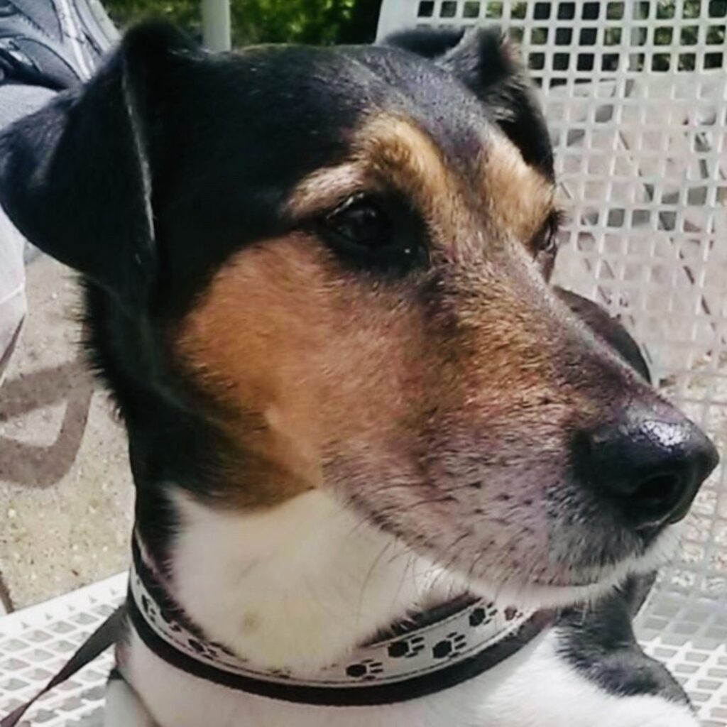 D468507A BAC3 4C16 9EF8 83D45E8B0E09