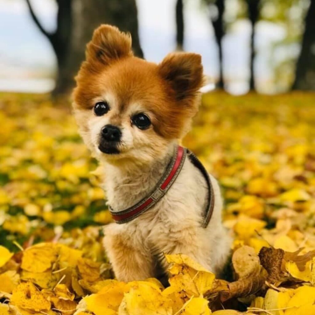 D47258C6 61EB 43A7 AAAB BB6995C1AAE5