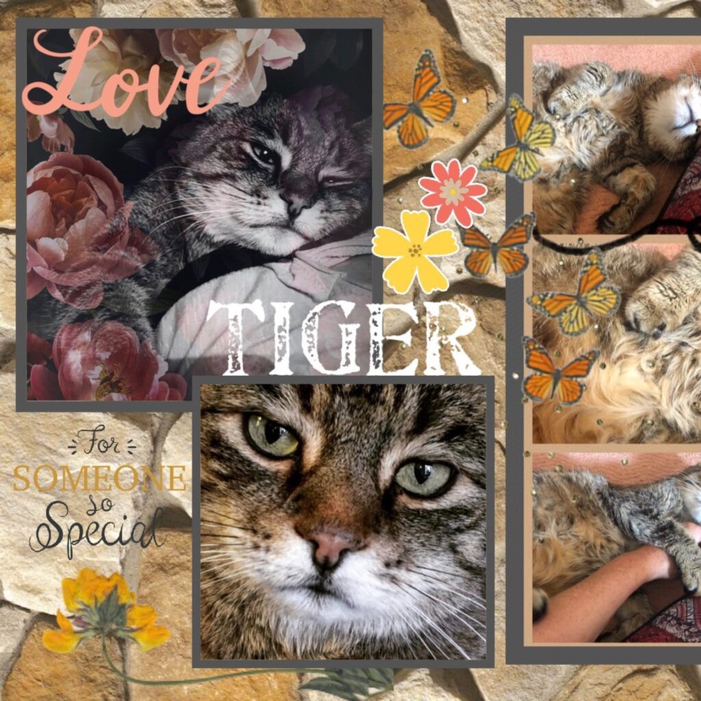 DD598016 ED12 4259 8A3E 826BD55D1C76