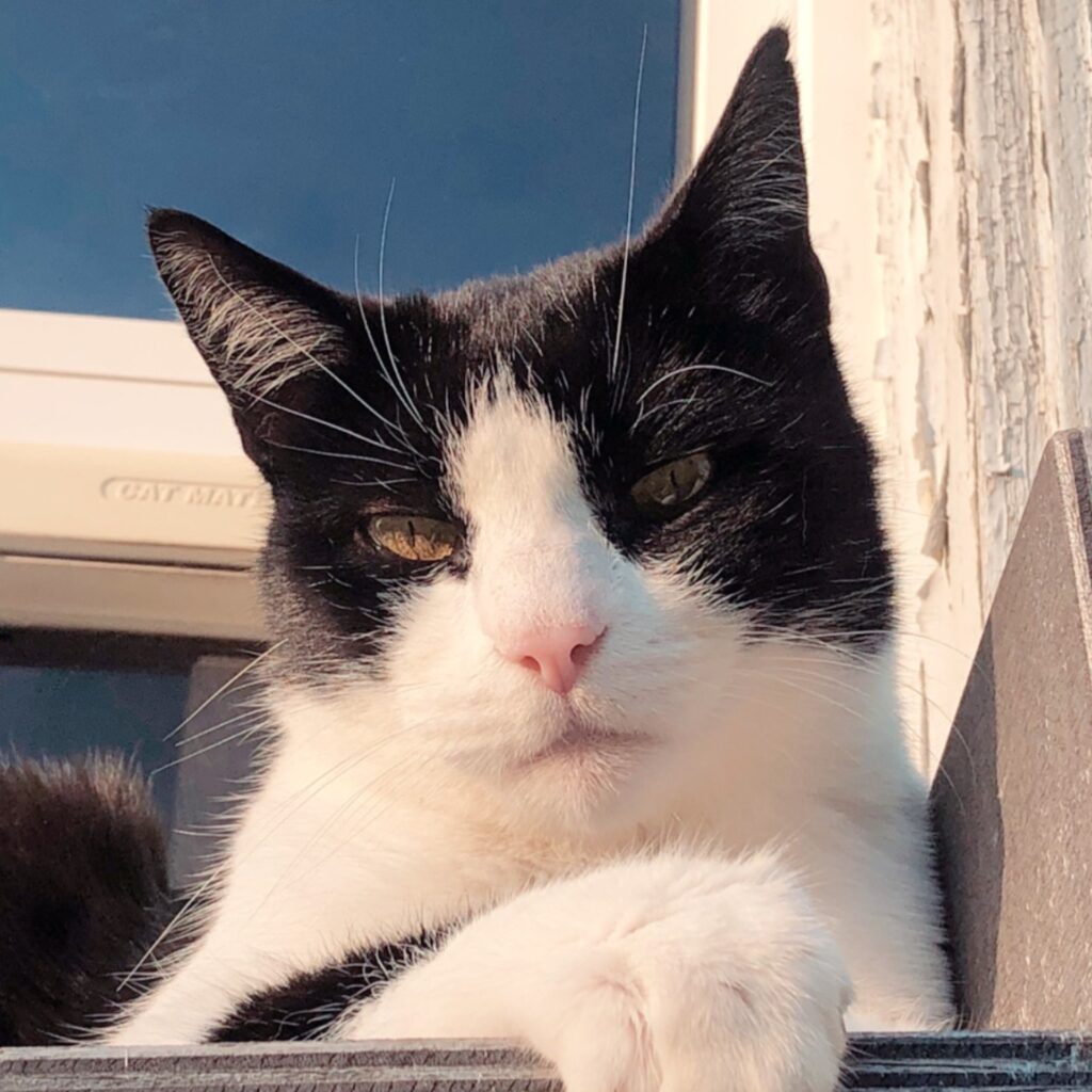 DFB2D014 FF10 4185 98B4 DA637ABF02A2