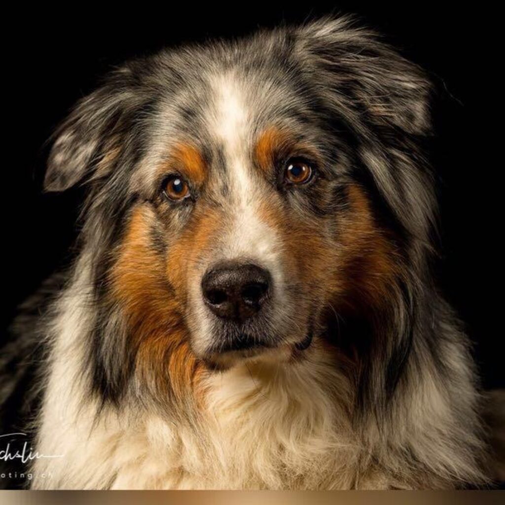 E5E635C1 CA10 4960 B686 DCA5D3DAD503