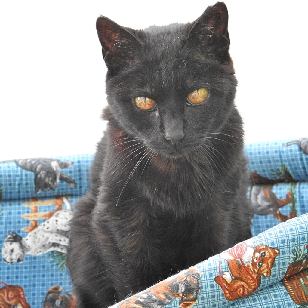 EBF6E7C5 22C5 49B9 A341 90F5DD03F9DC