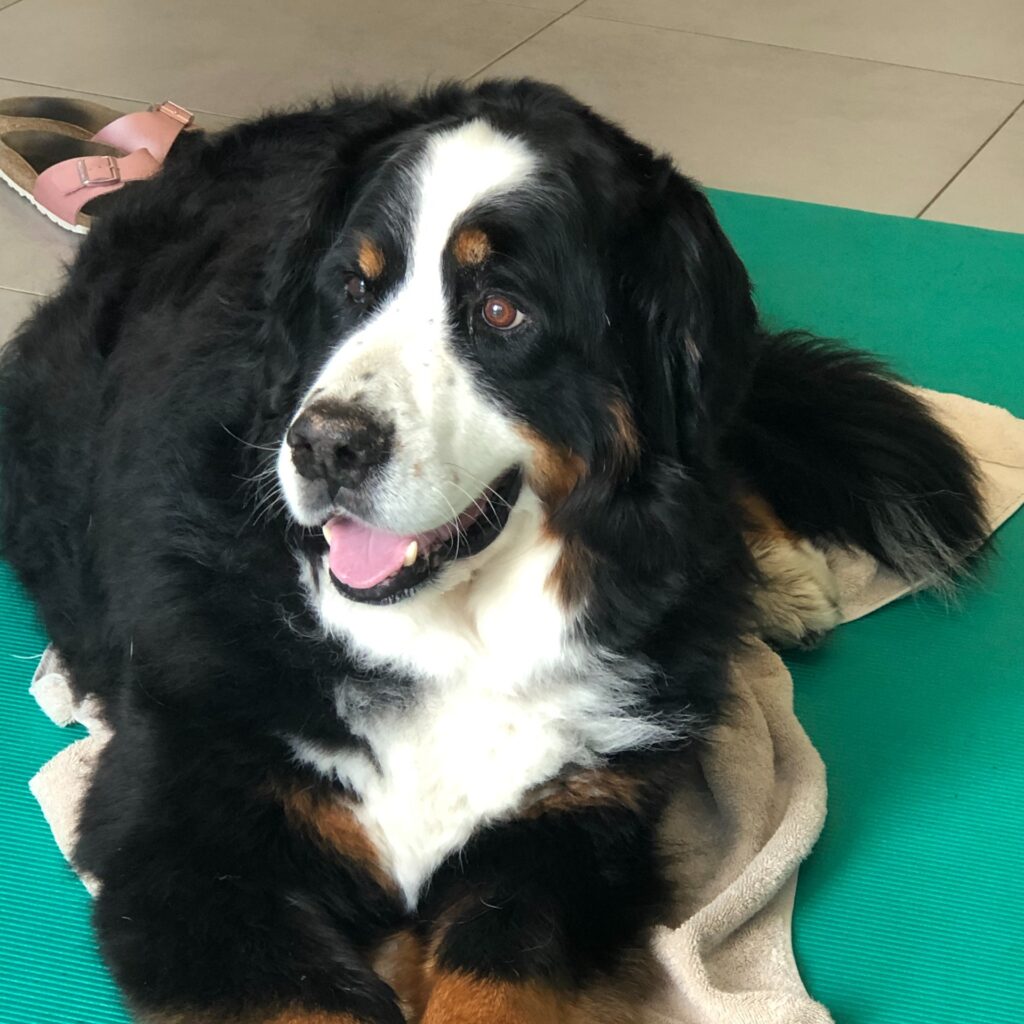 EDC8D1E6 3931 4343 B6A8 7E63B7CBDF54