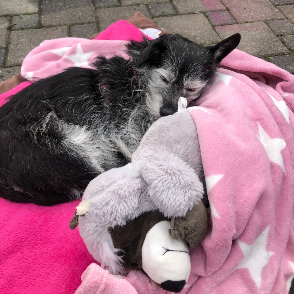 F3B8962B 4E67 4288 A55A 0EB5D9FB1136