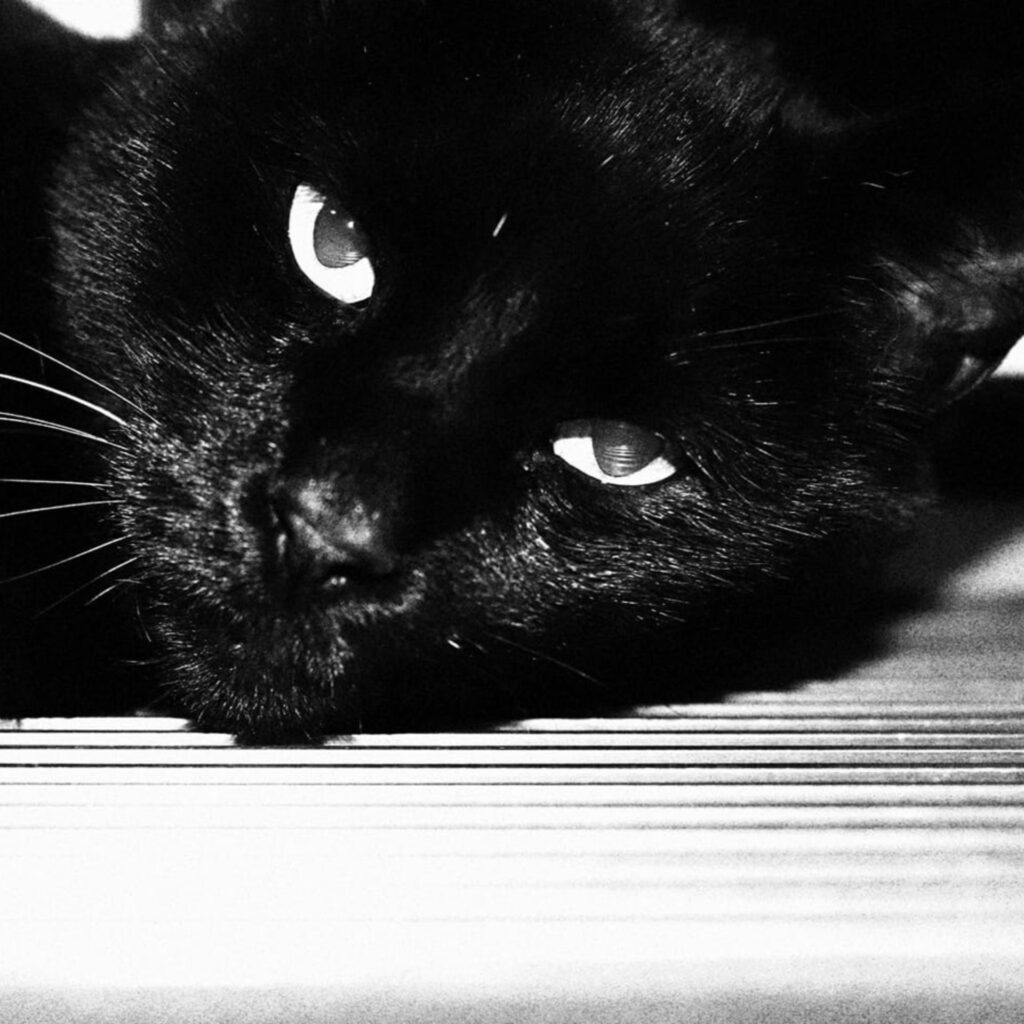 F8740D9A 64DB 4CDF AD48 422B2AB9823B