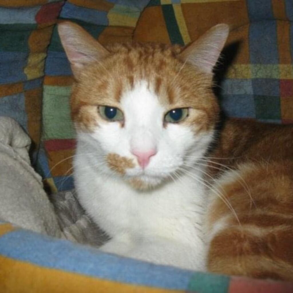 FBC4D093 1EA0 4701 8F45 1AD797BEBCD7