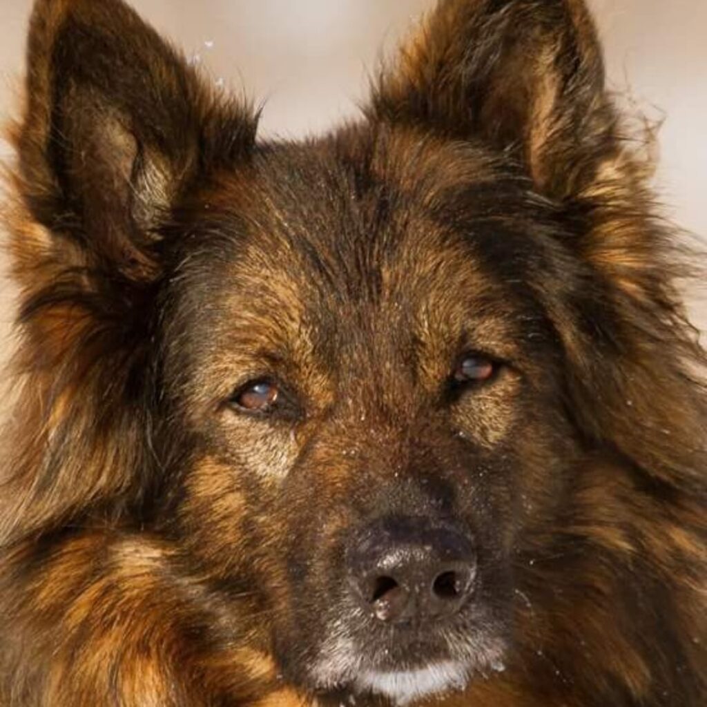 FB IMG 1485081524925