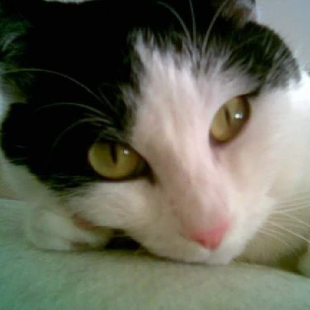 FB IMG 1513960907390