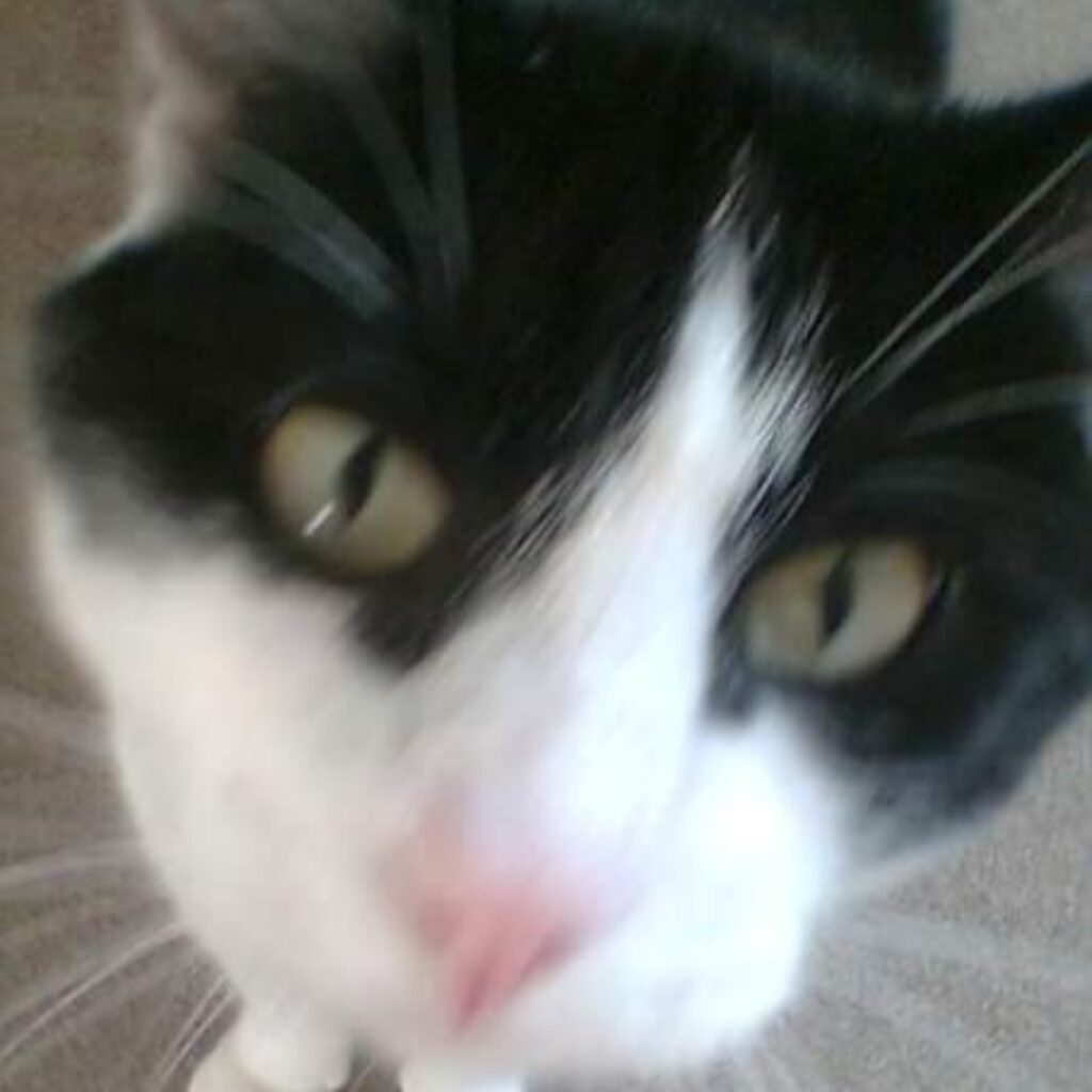 FB IMG 1513960918265