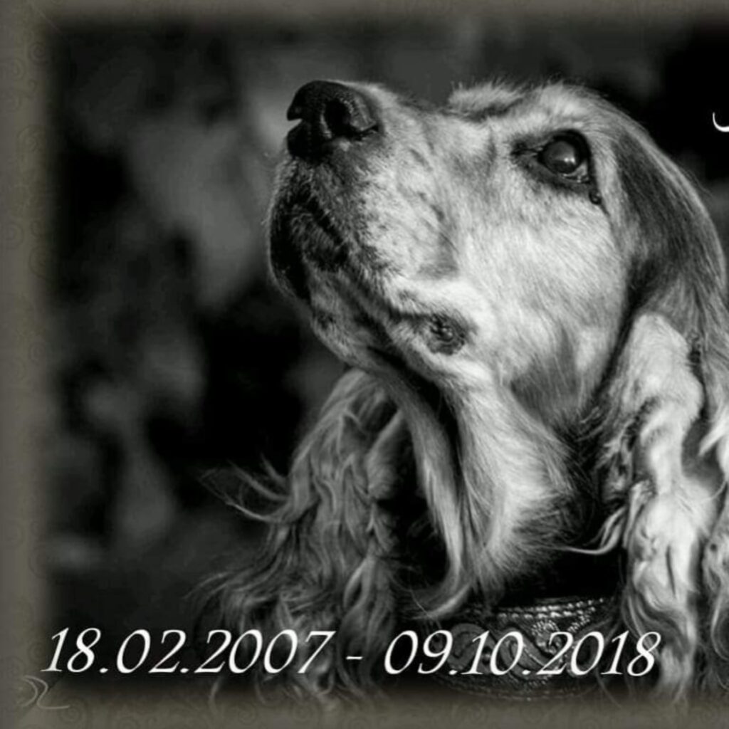 FB IMG 1540490580744