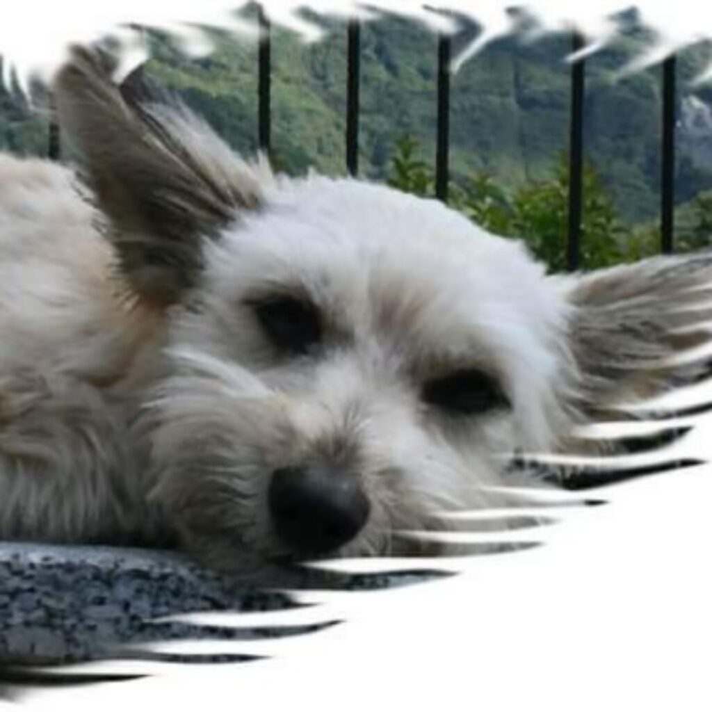 FB IMG 1548452308927