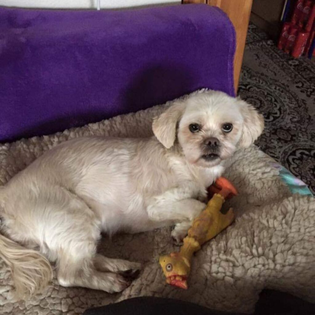 FB IMG 1570118907437