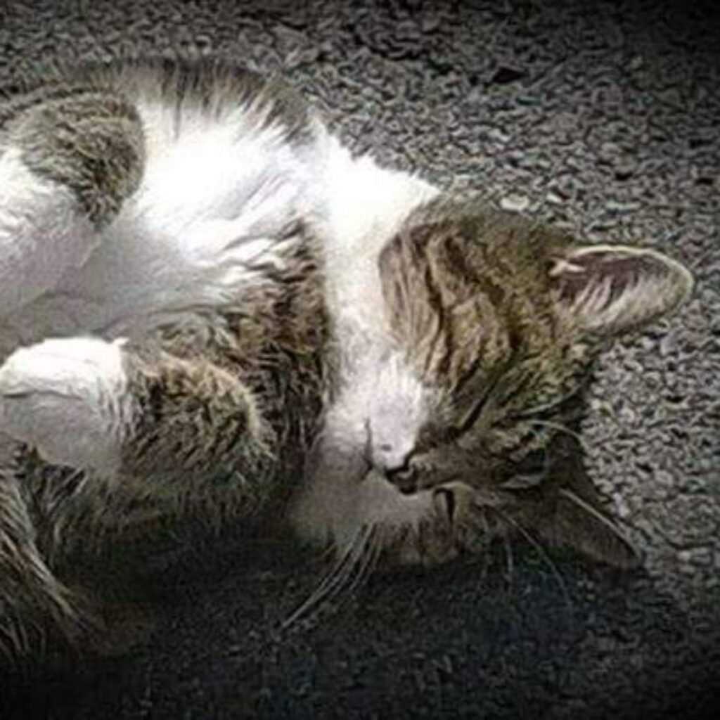 FB IMG 1570914403394