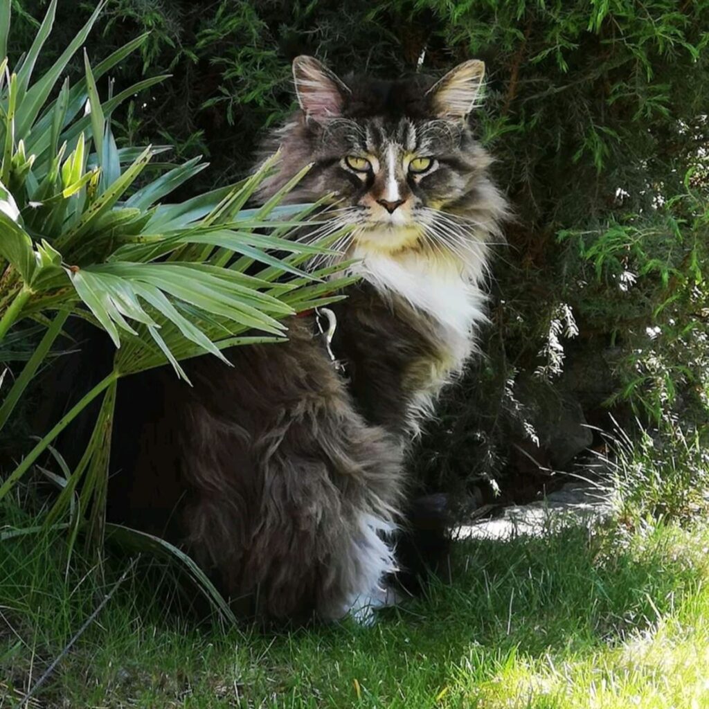 FB IMG 16133232302622838