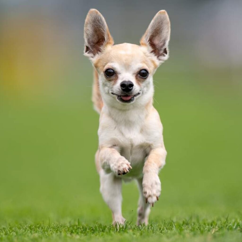 FB IMG 1624651980221