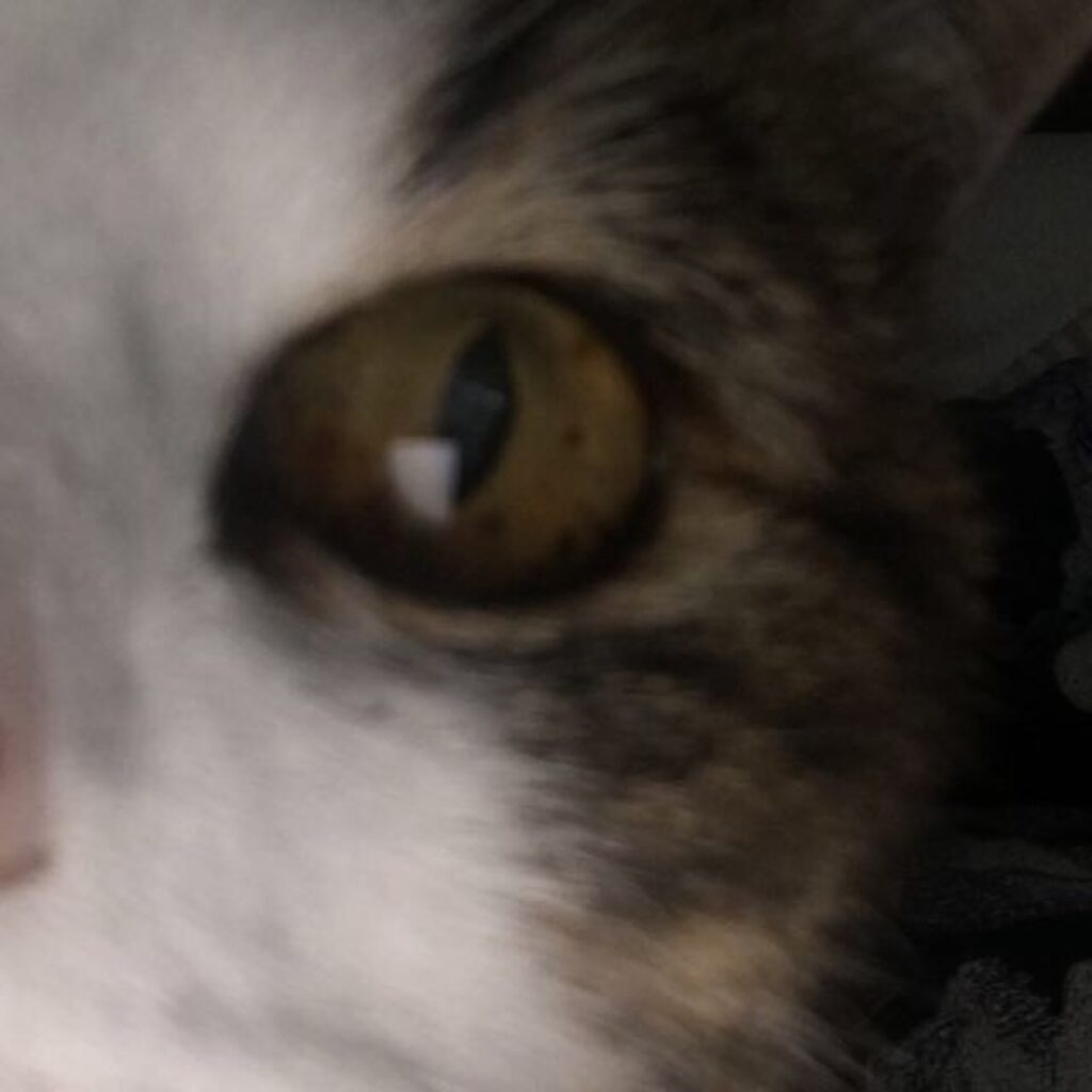 FD40353D C9F5 4787 94DC 77645E8A1680