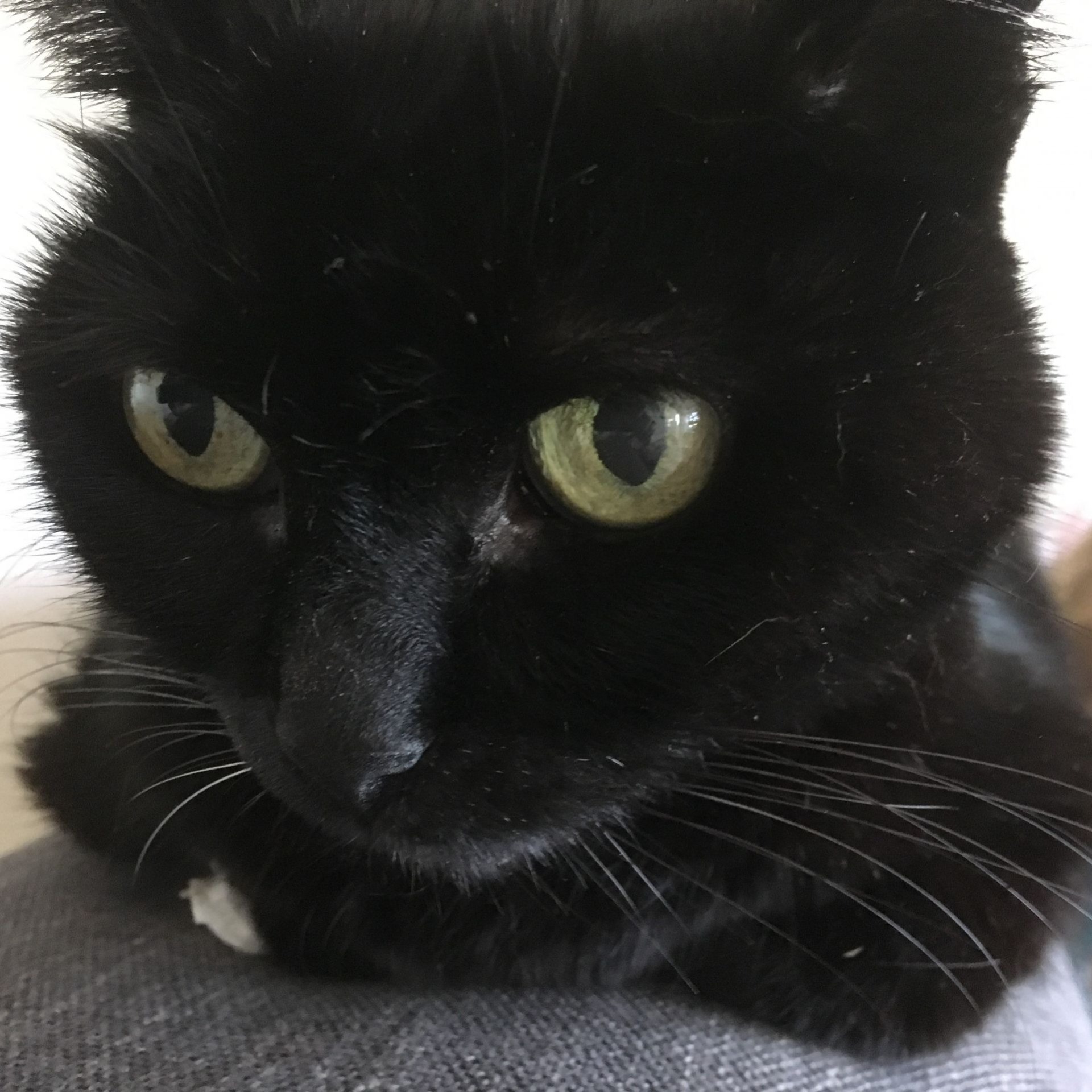 Nera 2004 26. Juni 2019