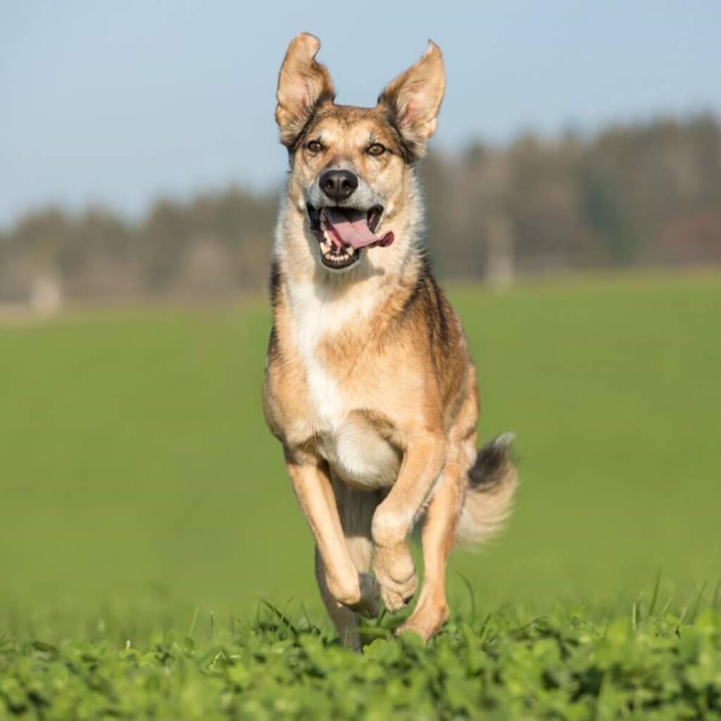 PHOTO 2021 09 12 15 41 55