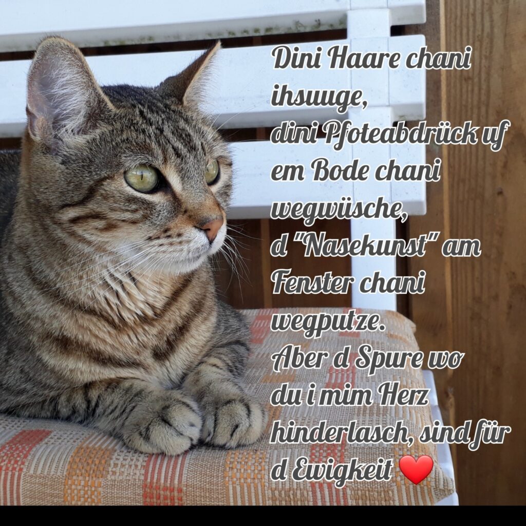 PhotoCollage 1597325950312