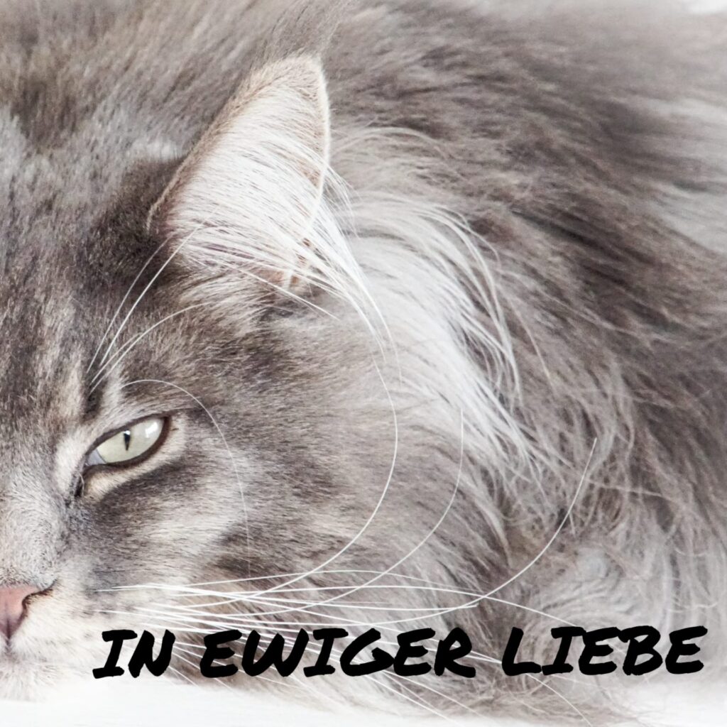 Polish 20220328 141849629