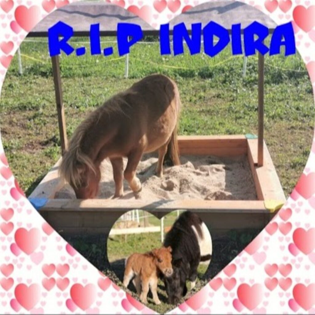 R.I.p Indira