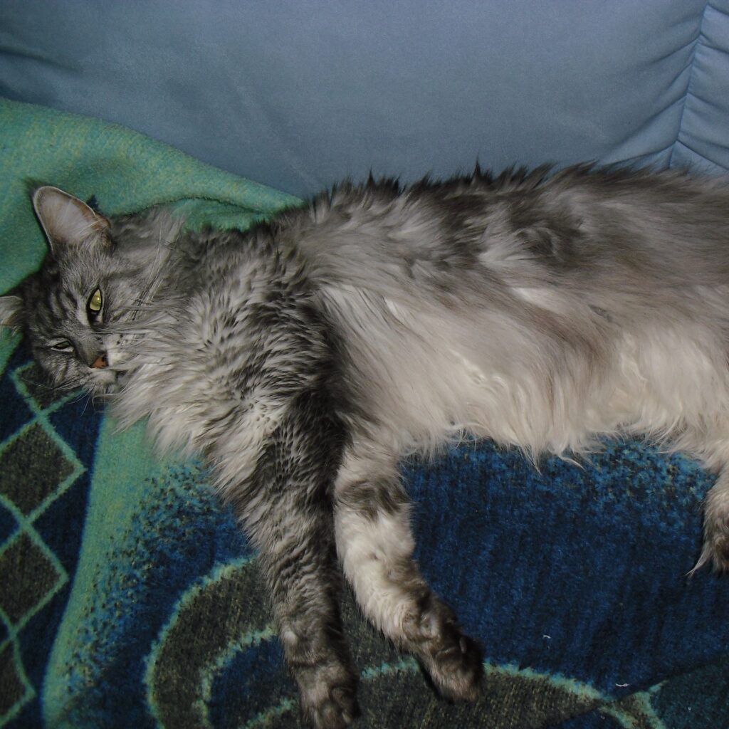 Schiff Wheinacht2010 Ferien graechen 012