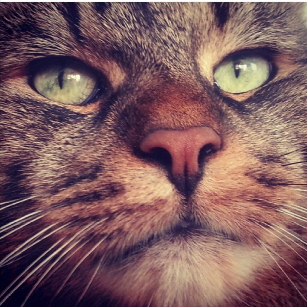 Screenshot 20210209 090434