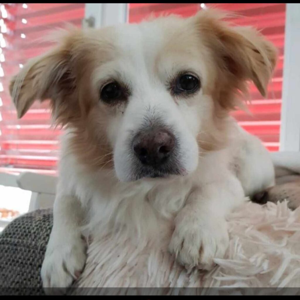 Screenshot 20220113 182055 WhatsApp