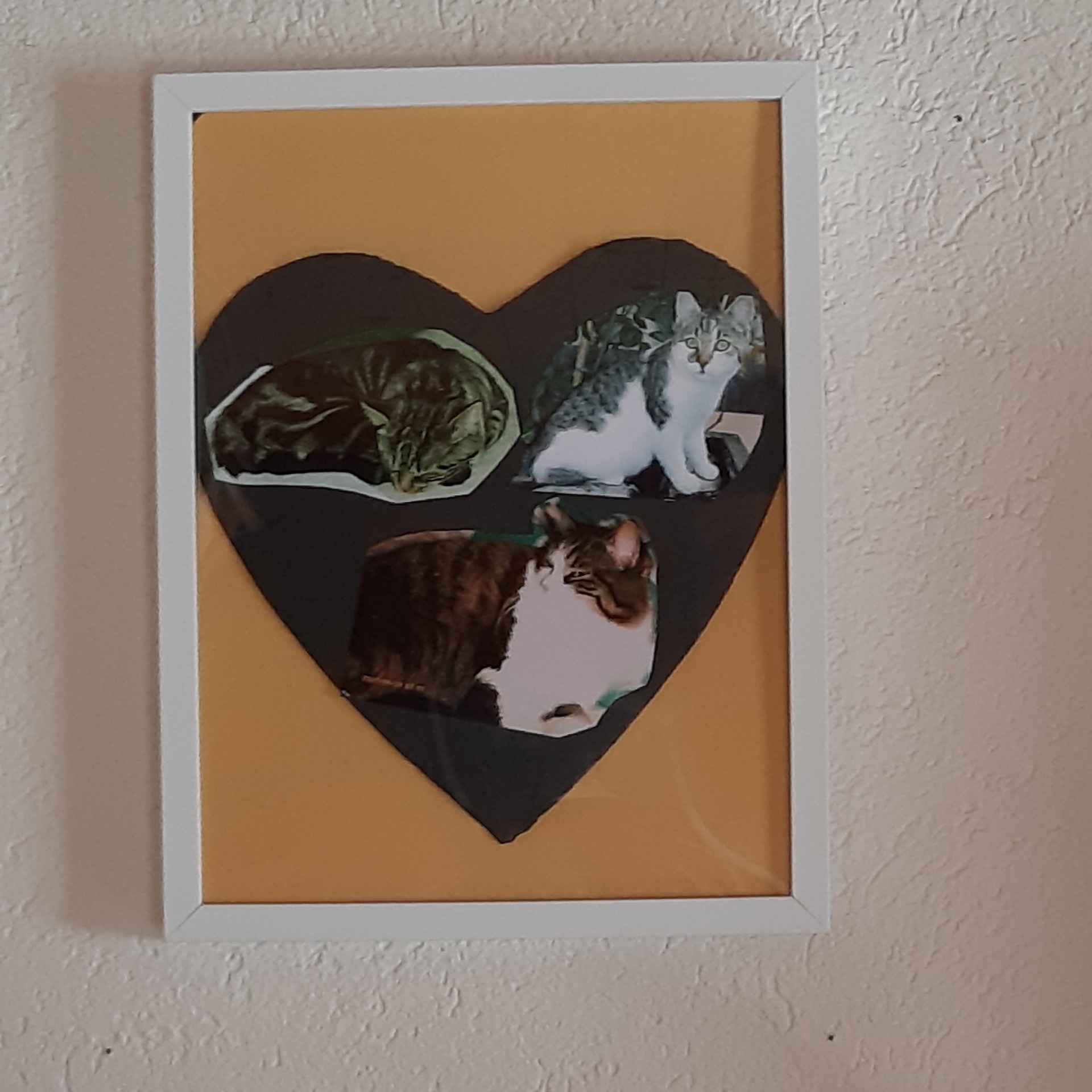 Bettina von Känel Küblis