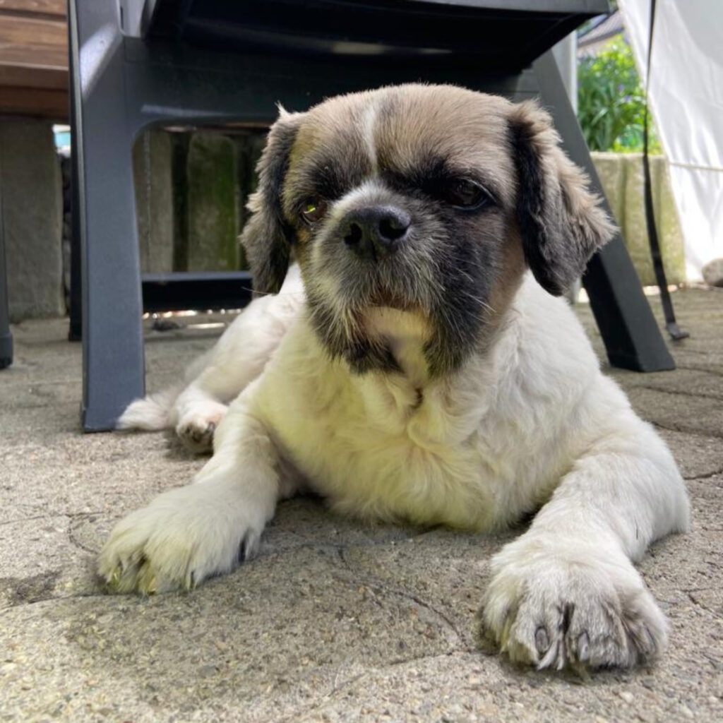 1DB6C425 3C33 47BA 98F5 FC028FE78E5D