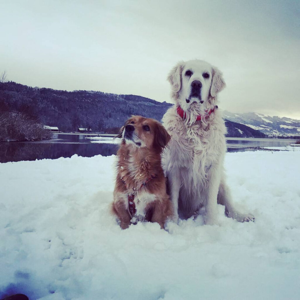 27879818 200927737310641 6547787623979548672 n